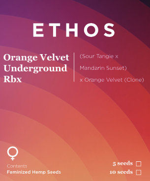 Orange Velvet Underground Rbx