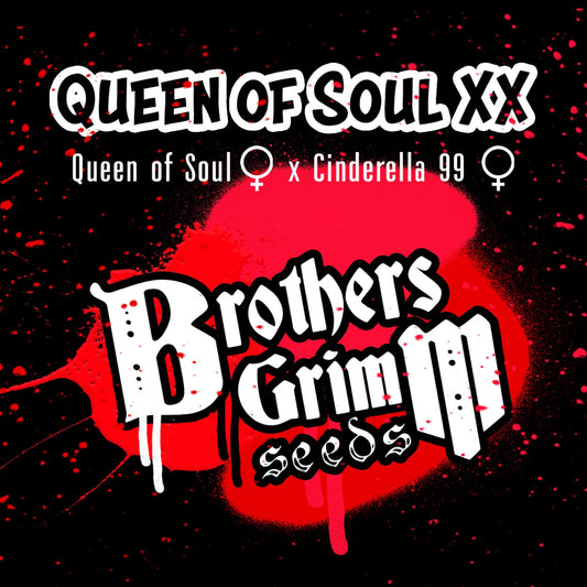 Queen of Soul XX