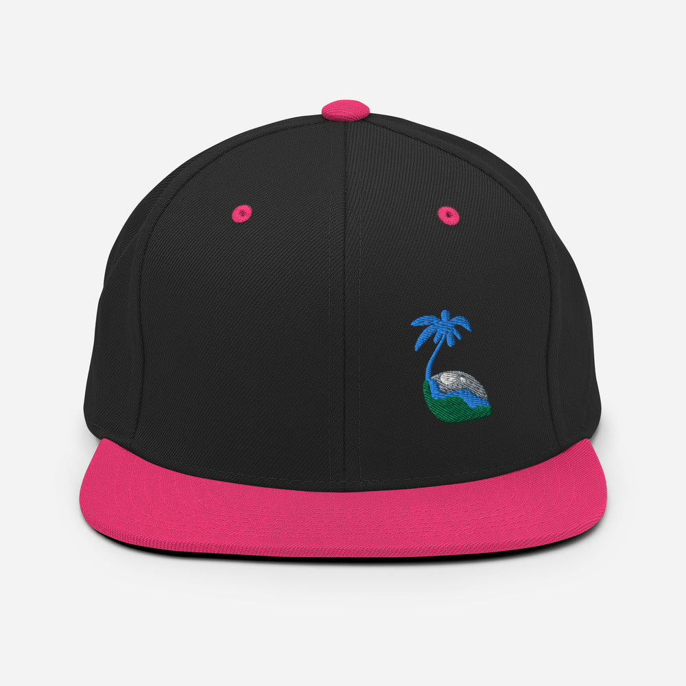 Tricolor Palm Hat