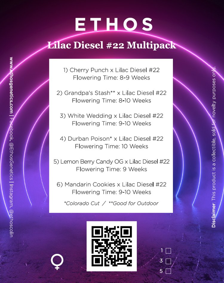 Lilac Diesel #22 Multipack