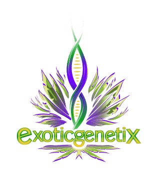 EXOTIC GENETIX