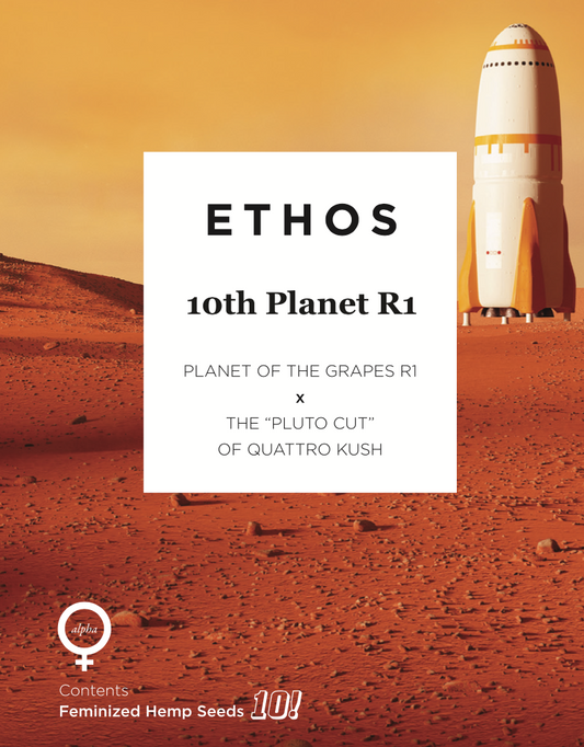 10th Planet