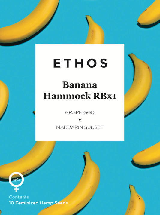 banana hammock seeds