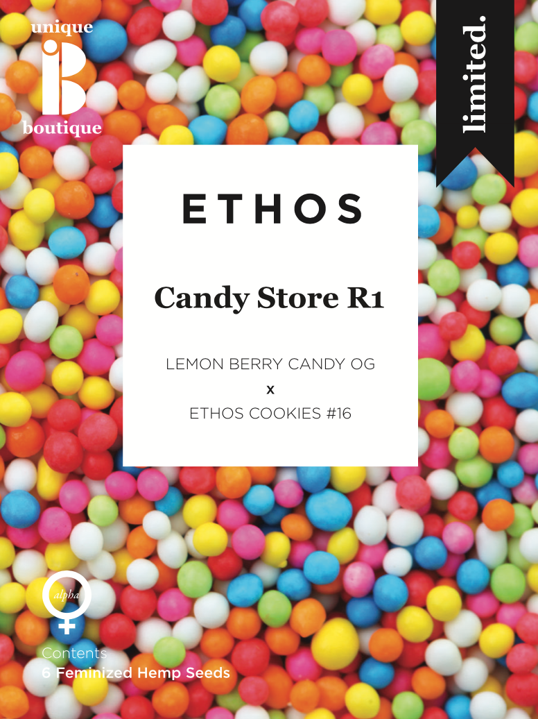 Candy Store Rbx
