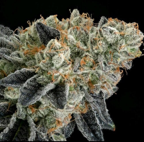 End Game Rbx EC #4 Line