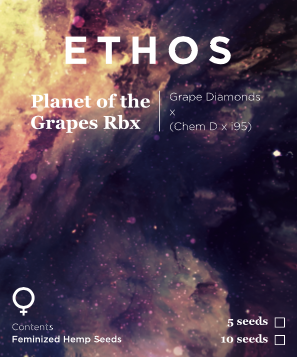Planet Of The Grapes Rbx