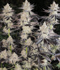 Ethos Cookies R2