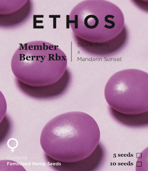 Member Berry Rbx