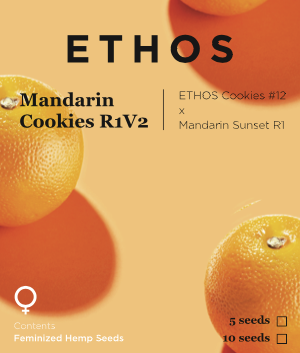 Mandarin Cookies V2
