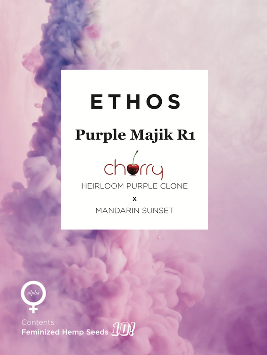 Purple Majik Rbx1