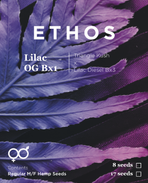 Lilac OG Bx1