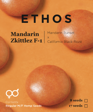 Mandarin Zkittlez F-1