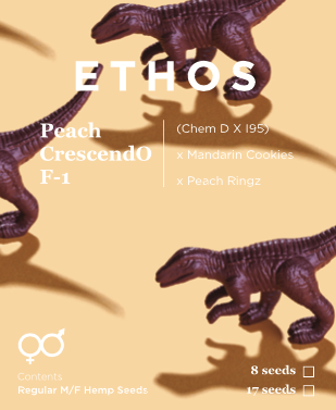 Peach CrescendO F-1