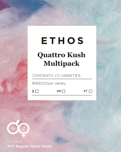 Quattro Kush Multipack