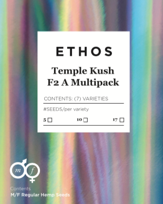 Temple Kush F2 A Multipack