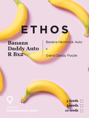 Banana Daddy Auto R BX2