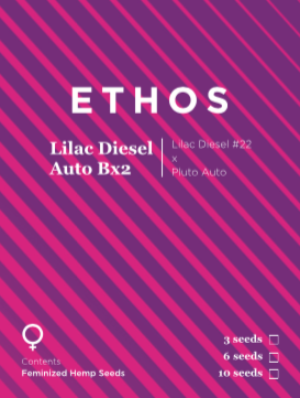 Lilac Diesel Auto Rbx2