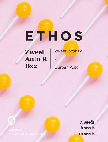 Zweet Auto Rbx2