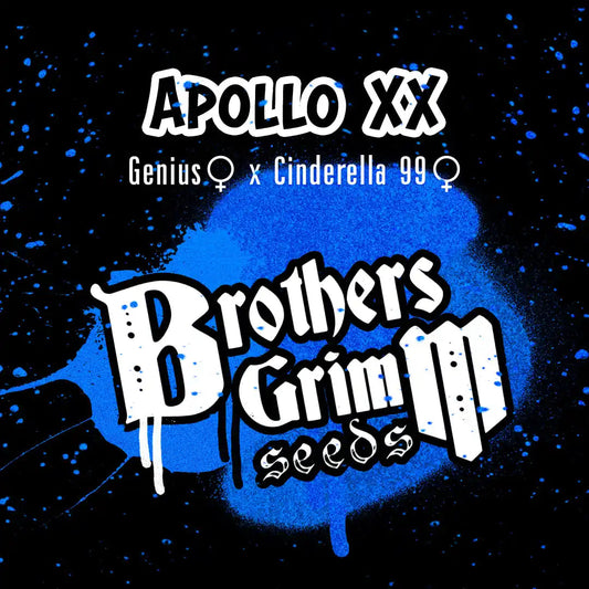 Apollo XX