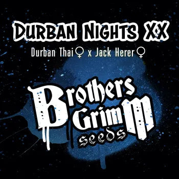Durban Nights XX