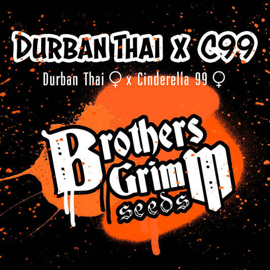 Durban Thai x C99