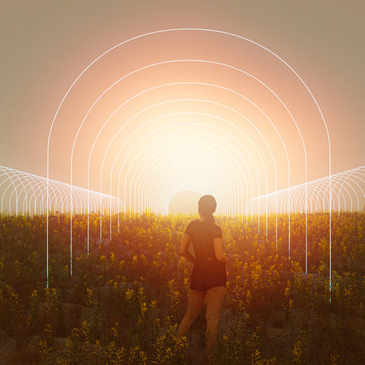 Early Girls Multipack