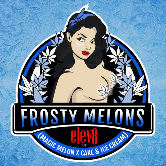 Frosty Melon