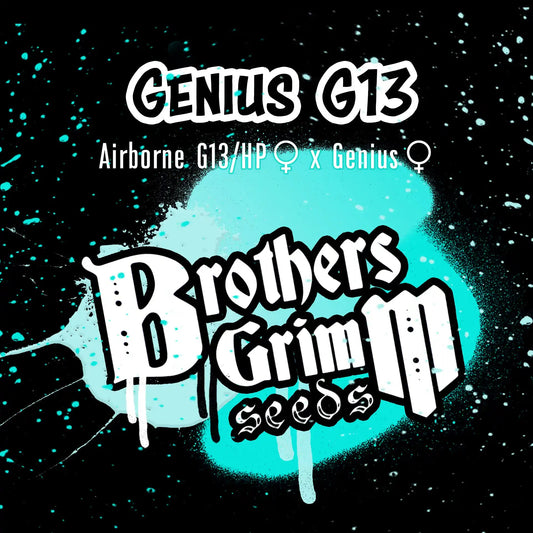 G13 Genius