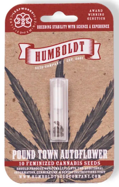 magic melon autoflower