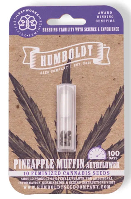 Pineapple Muffin (AUTO)
