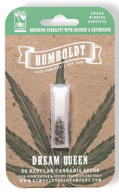 Dream Queen (M/F)