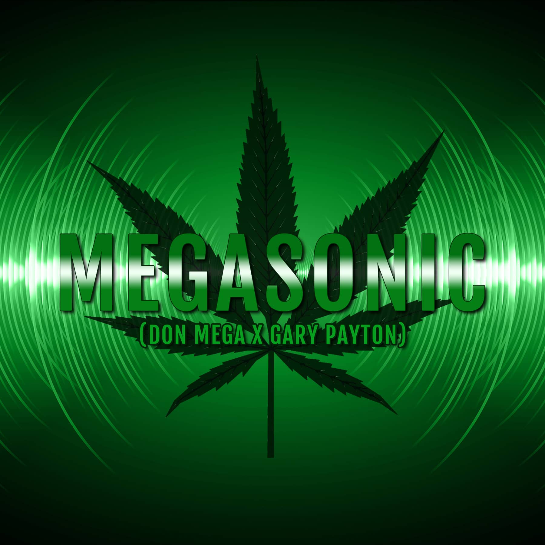Megasonic