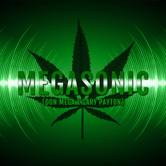 Megasonic