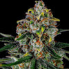 Originals Line - Papaya Power