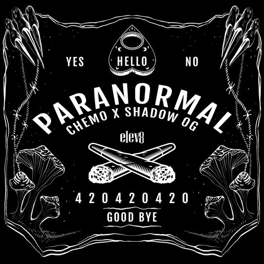 Paranormal