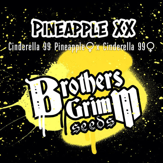 Pineapple XX
