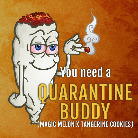Quarantine Buddy