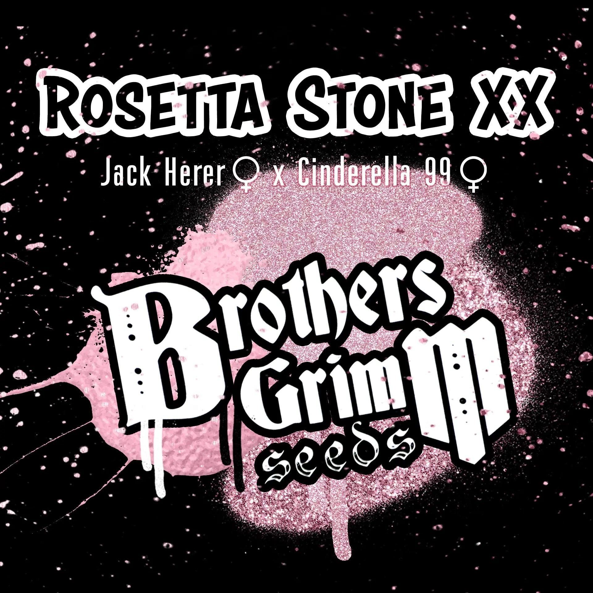Rosetta Stone XX