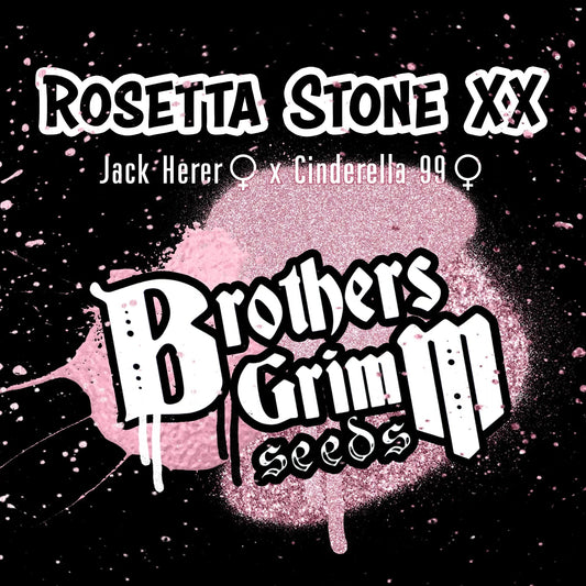 Rosetta Stone XX
