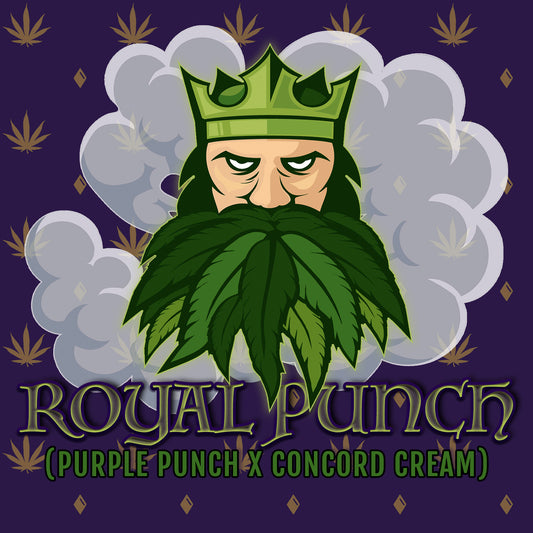 Royal Punch