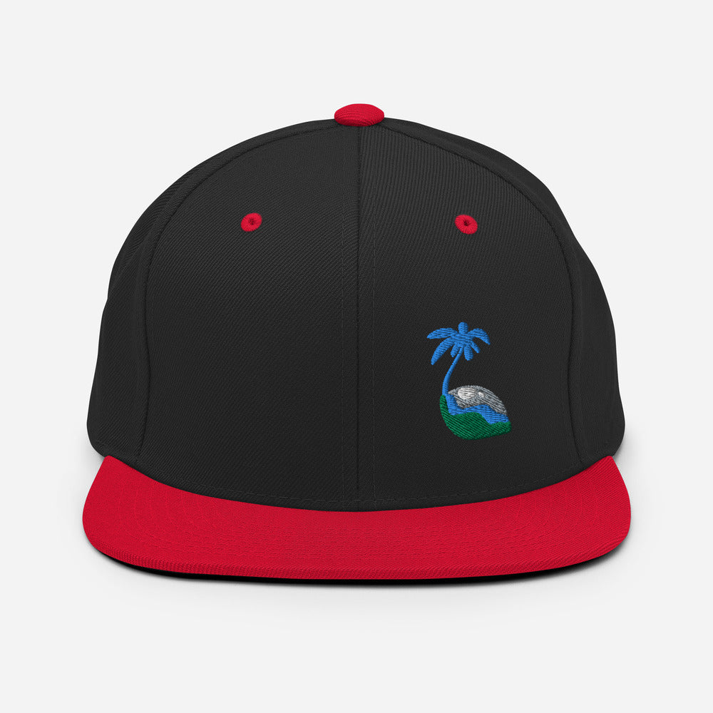 Tricolor Palm Hat