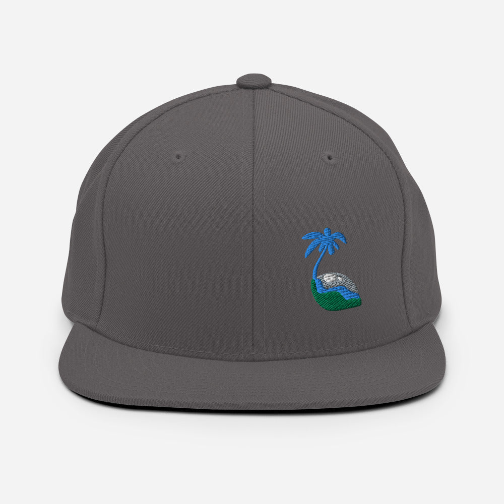 Tricolor Palm Hat