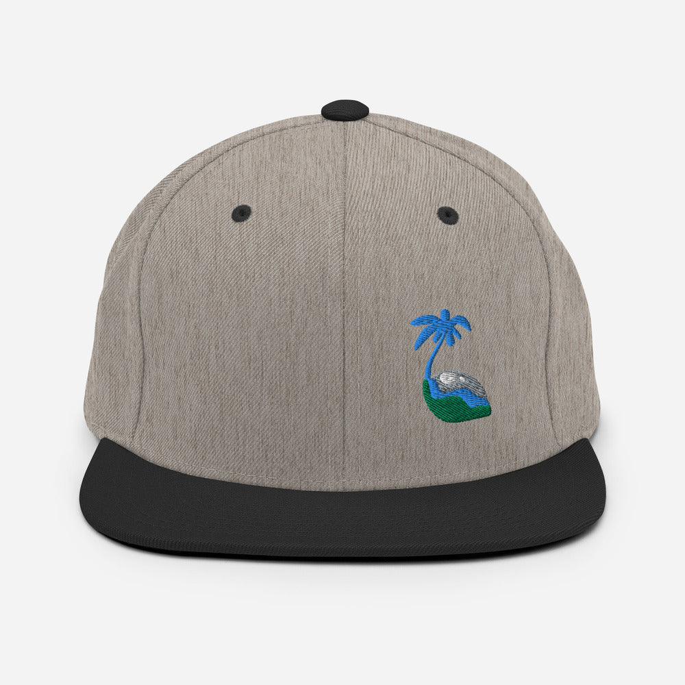 Tricolor Palm Hat