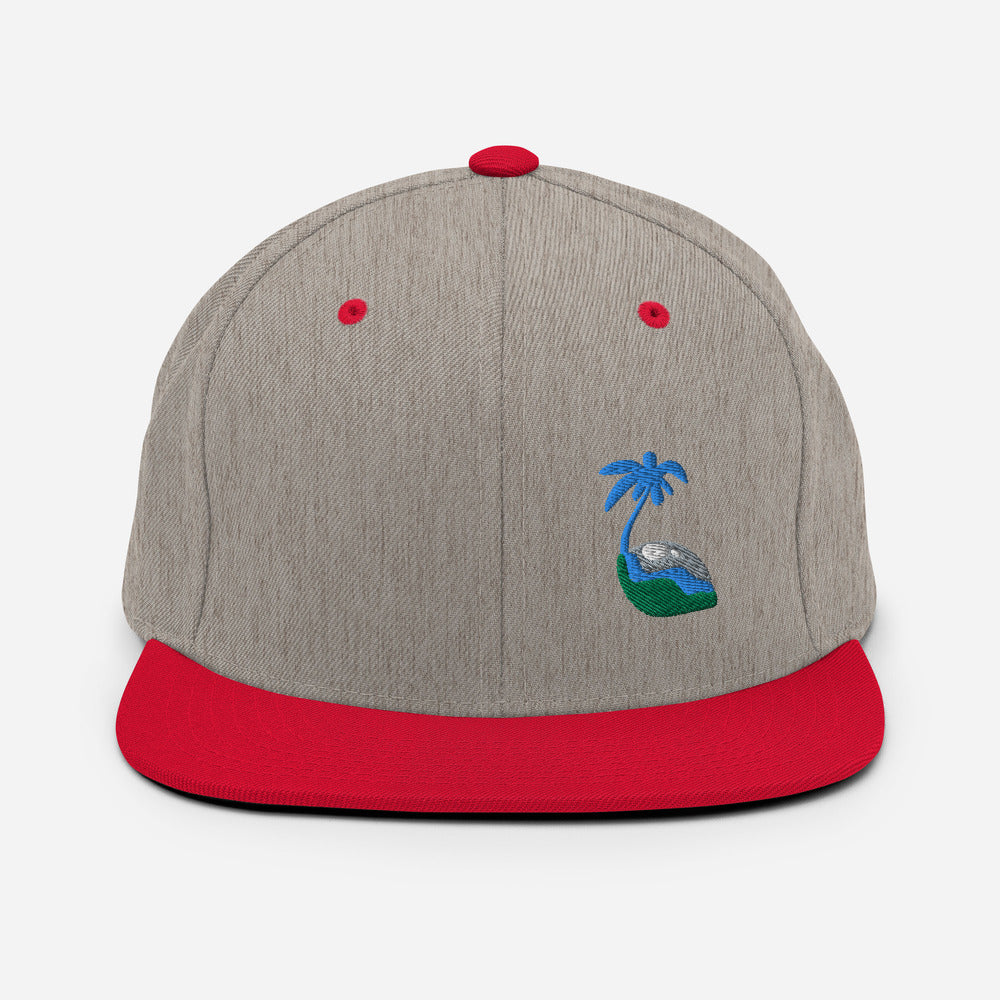 Tricolor Palm Hat