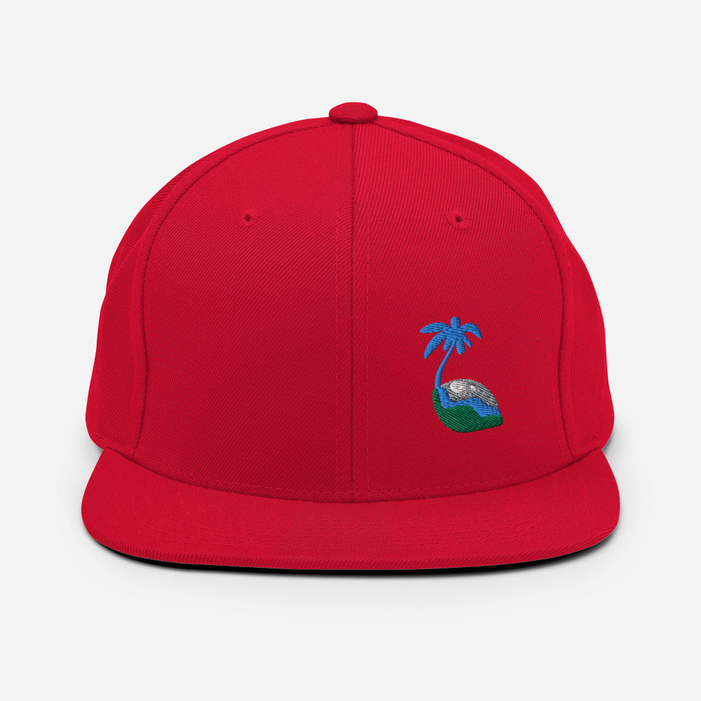 Tricolor Palm Hat