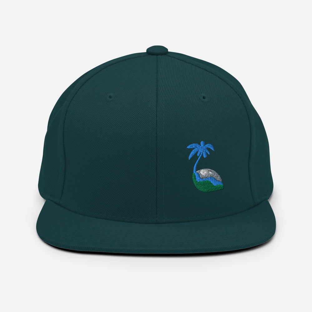 Tricolor Palm Hat