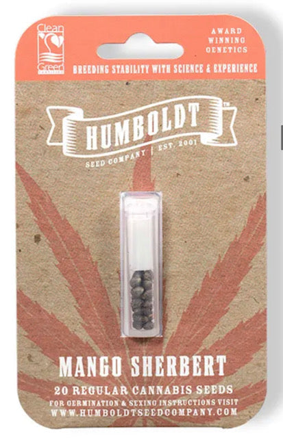 Mango Sherbert (M/F)