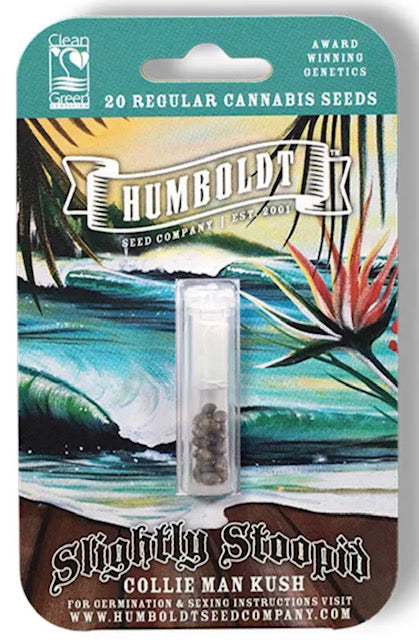 Collie Man Kush (M/F)