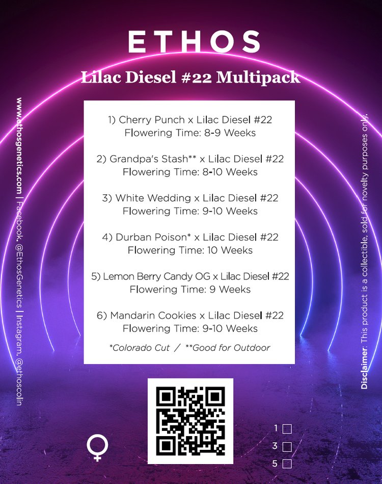 Lilac Diesel #22 Multipack