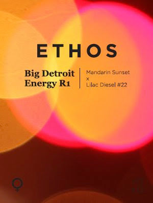 Big Detroit Energy R1